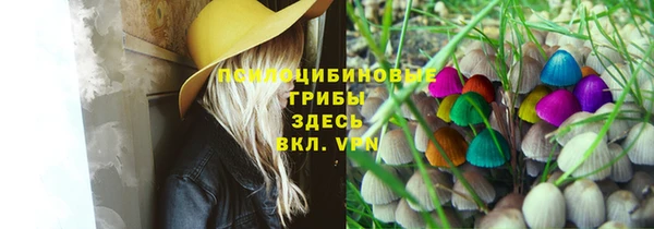 каннабис Гусь-Хрустальный