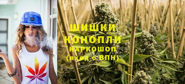 дурь Гусиноозёрск