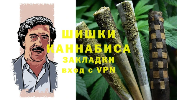 дурь Гусиноозёрск