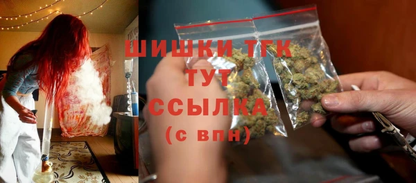 дурь Гусиноозёрск